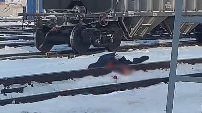 В Воронежской области под колёсами поезда погиб мужчина