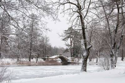 23 января в большинстве районов Ленобласти пройдет небольшой снег