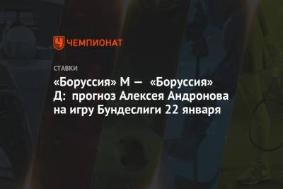 «Боруссия» М — «Боруссия» Д: прогноз Алексея Андронова на игру Бундеслиги 22 января
