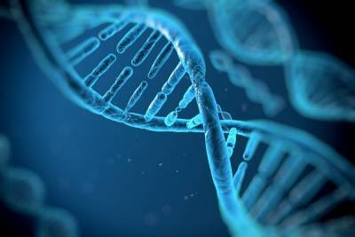 Ученые открыли генетическое заболевание, которое приводит к аномалиям организма