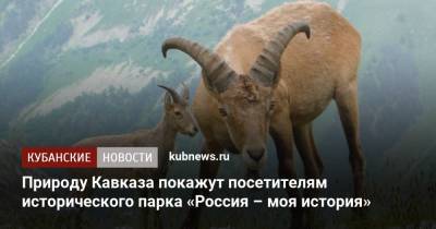Природу Кавказа покажут посетителям исторического парка «Россия – моя история»