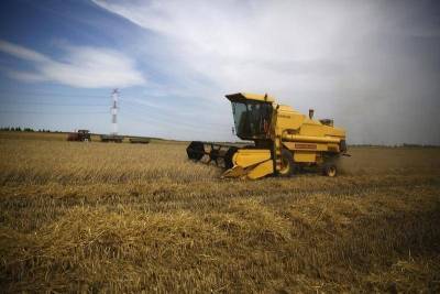 СовЭкон повысил прогноз урожая пшеницы в 21г до 77,7 млн т