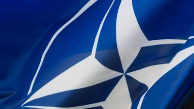 Страны НАТО поддерживают продление РФ и США действия ДСНВ