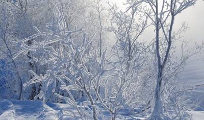 В Приморском крае ожидают сильный снегопад