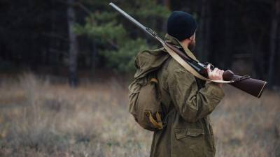 Серия убийств животных в лесу вывела спецназовца на «тропу войны»