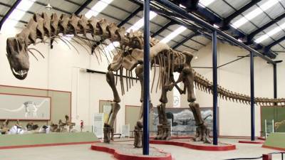 Обнаружен самый большой динозавр в истории Земли