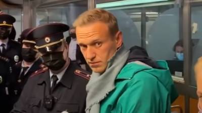 МВД проведет проверку в отношении руководителей штабов Навального