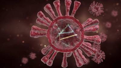 Вирусологи рассказывают о новых мутациях коронавируса и объясняют, откуда они берутся