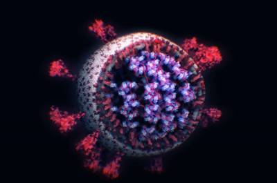 Видео дня: Как выглядит коронавирус под микроскопом - techno.bigmir.net - Пекин