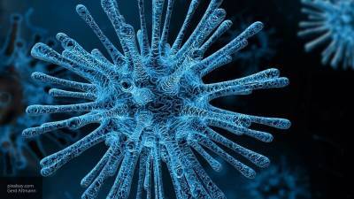 Пандемия коронавируса: самое главное за 22 января