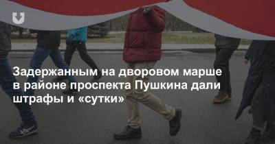 Задержанным на дворовом марше в районе проспекта Пушкина дали штрафы и «сутки»