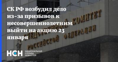 СК РФ возбудил дело из-за призывов к несовершеннолетним выйти на акцию 23 января