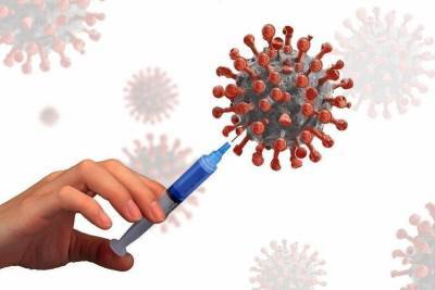 Как сделать прививку от коронавируса, рассказали в Минздраве ДНР