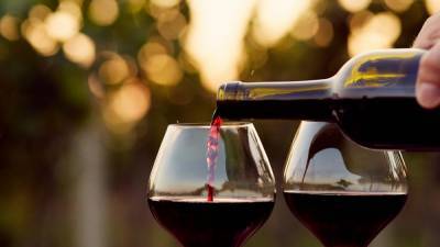 10 самых дорогих бутылок вина в мире: рейтинг с фото и ценами