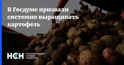 В Госдуме призвали системно выращивать картофель