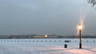 Мокрый снег с дождем ожидается в Петербурге 23 января