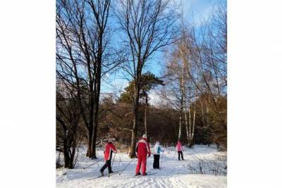 Спорт и зимние забавы в Подмосковье: открыты катки, лыжные трассы и тюбинговые горки