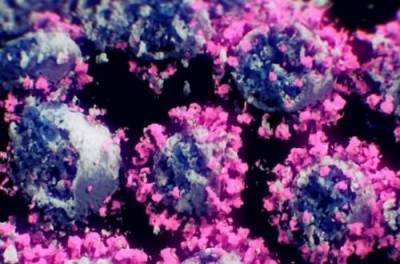 Коронавирус в 3D-виде: ученые впервые показали эффектную заразу. ВИДЕО