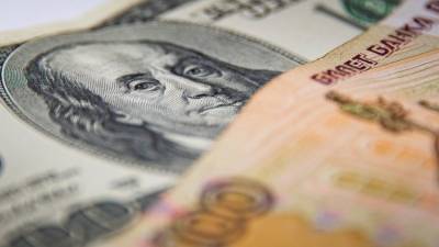 Россияне в конце 2020 года купили валюты почти на 5 млрд долларов – ЦБ