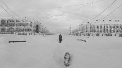 Фильм «Блокадный дневник» Зайцева получил главный приз «Золотого орла»