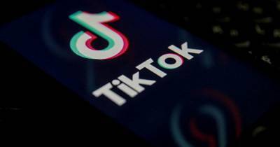В Италии частично заблокировали TikTok после смерти ребенка
