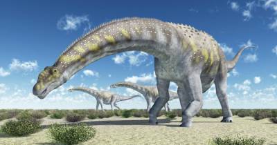 Ученые нашли останки динозавра, который был самым большим животным на Земле - tsn.ua - Argentina