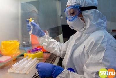 Суточный прирост инфицированных коронавирусом в Прикамье стабилизировался на уровне 0,8%