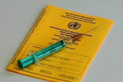 В Германии выдан первый цифровой паспорт вакцинации