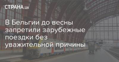 В Бельгии до весны запретили зарубежные поездки без уважительной причины - strana.ua - Бельгия - Запрет