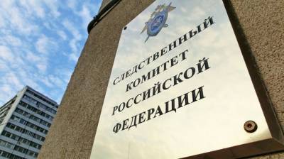 СК РФ возбудил уголовное дело о вовлечении подростков в митинги