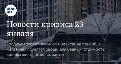 Новости кризиса 23 января. Госдума готовит закон об индексации пенсий, в магазинах появятся овощи для бедных, стоимость аренды жилья резко вырастет