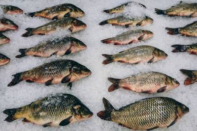 Китай приостановил ввоз рыбной продукции из РФ из-за COVID-19