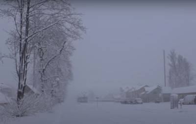 Наметет 40 сантиметров снега: циклон с Балкан испортит погоду в Украине