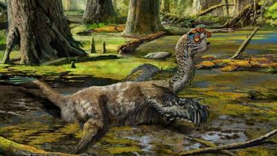 Ученые нашли останки самого большого динозавра