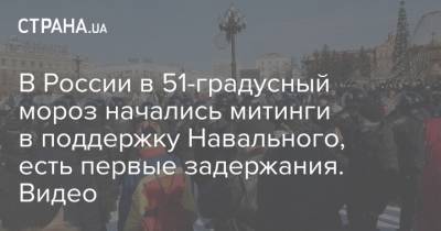 В России в 51-градусный мороз начались митинги в поддержку Навального, есть первые задержания. Видео