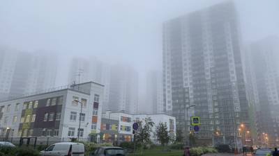 Жители Москвы столкнулись с последствиями сильных туманов