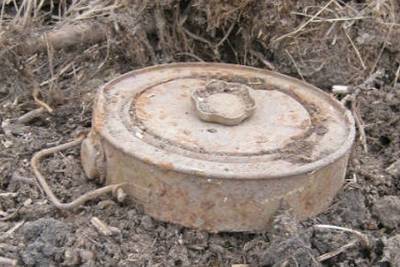 В Смоленской области обезвредили две противотанковые мины