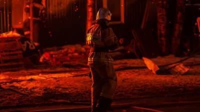 Пожар в Пензенской области унес жизни двоих человек