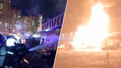 Момент взрыва газового баллона на рынке в Краснодаре — видео
