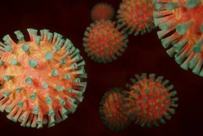 ВОЗ: Доказательств более высокой смертности от мутации вируса пока нет