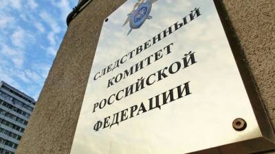 СК завел дело о призывах к массовым беспорядкам в Новосибирской области
