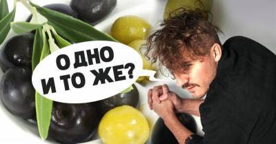 Повар с прозвищем «ходячая энциклопедия» рассказывает, почему маслины равны оливкам