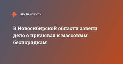 В Новосибирской области завели дело о призывах к массовым беспорядкам