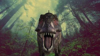 Палеонтологи обнаружили в Аргентине останки самого крупного динозавра возрастом 98 млн лет