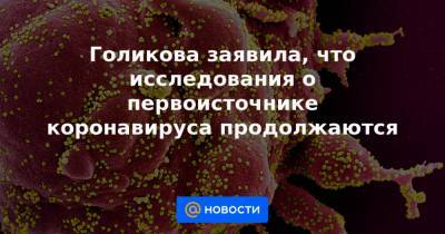 Голикова заявила, что исследования о первоисточнике коронавируса продолжаются