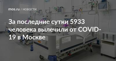 За последние сутки 5933 человека вылечили от COVID-19 в Москве