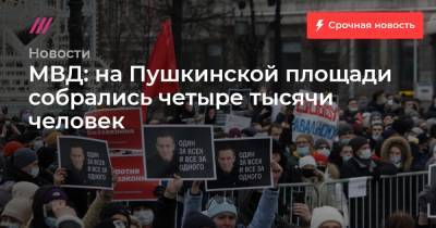 МВД: на Пушкинской площади собрались четыре тысячи человек
