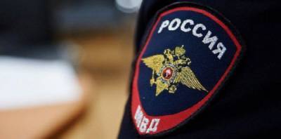 Все провокации на незаконных акциях будут расследованы — МВД России