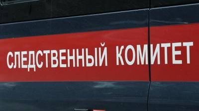 Во Владивостоке возбудили два уголовных дела после незаконной акции