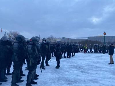 В Петербурге протестующий ударил инспектора ДПС